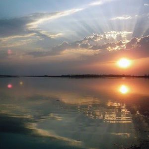 Meet your Posher, Jay